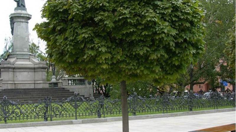Plante : ACPLGL